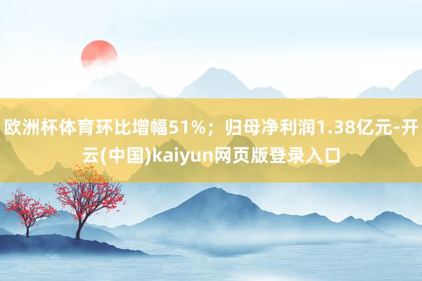 欧洲杯体育环比增幅51%；归母净利润1.38亿元-开云(中国)kaiyun网页版登录入口