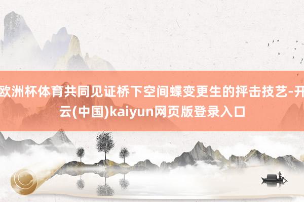 欧洲杯体育共同见证桥下空间蝶变更生的抨击技艺-开云(中国)kaiyun网页版登录入口