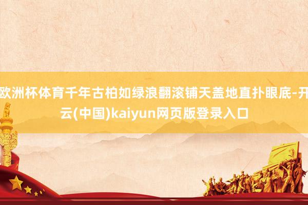 欧洲杯体育千年古柏如绿浪翻滚铺天盖地直扑眼底-开云(中国)kaiyun网页版登录入口